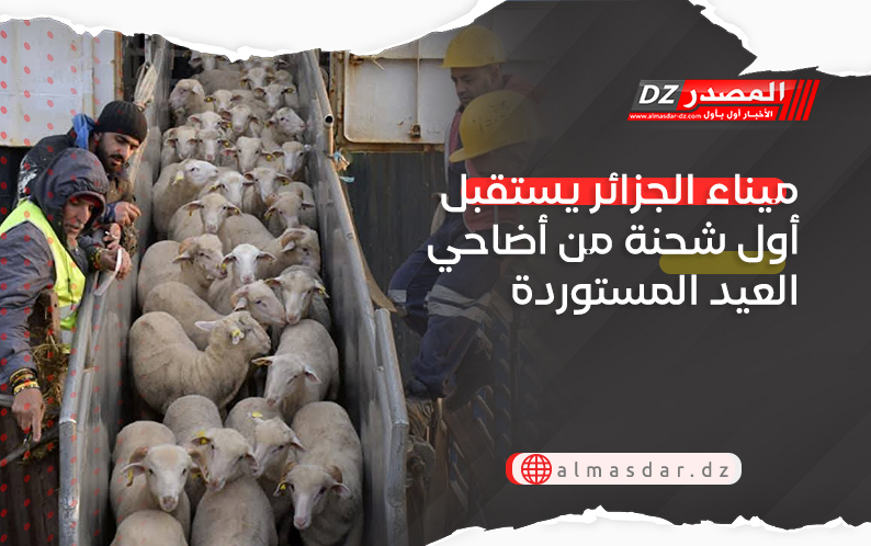 ميناء الجزائر يستقبل أول شحنة من أضاحي العيد المستوردة