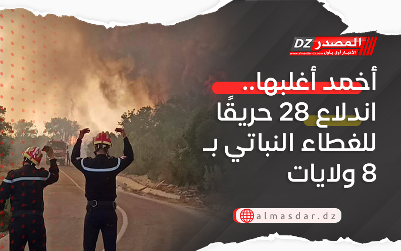 أخمد أغلبها.. اندلاع 28 حريقًا للغطاء النباتي بـ8 ولايات