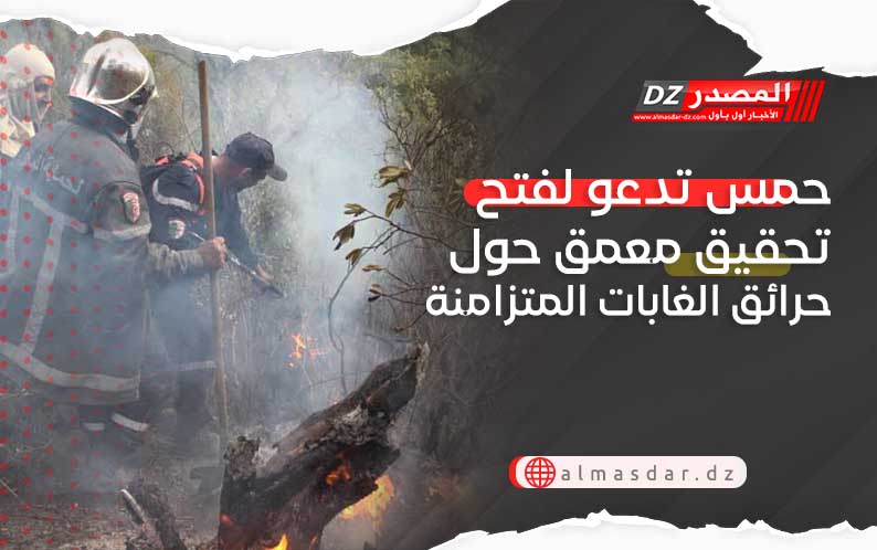 حمس تدعو لفتح تحقيق معمق حول حرائق الغابات المتزامنة