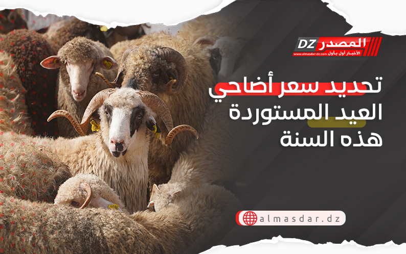 تحديد سعر أضاحي العيد المستوردة هذه السنة