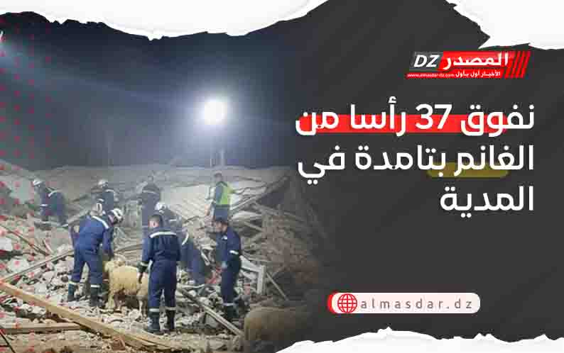 نفوق 37 رأسا من الغانم بتامدة في المدية