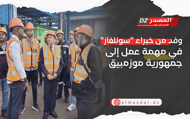 وفد من خبراء 