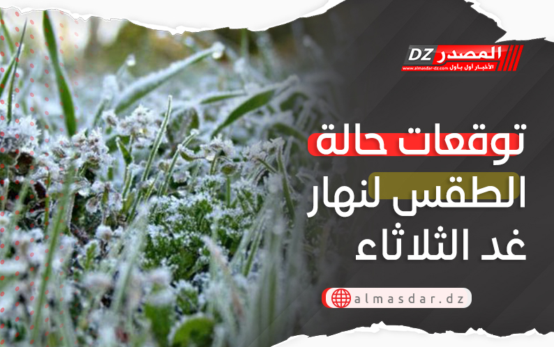 نشرية خاصة: أمطار معتبرة تتعدى 40 ملم بهذه الولايات..