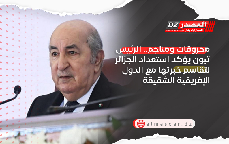 محروقات ومناجم.. الرئيس تبون يؤكد استعداد الجزائر لتقاسم خبرتها مع الدول الإفريقية الشقيقة
