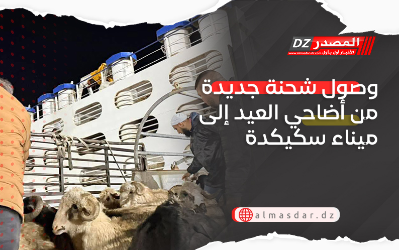 وصول شحنة جديدة من أضاحي العيد إلى ميناء سكيكدة