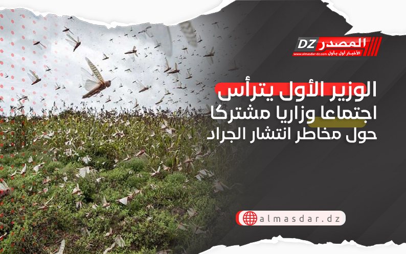 الوزير الأول يترأس اجتماعا وزاريا مشتركا حول مخاطر انتشار الجراد