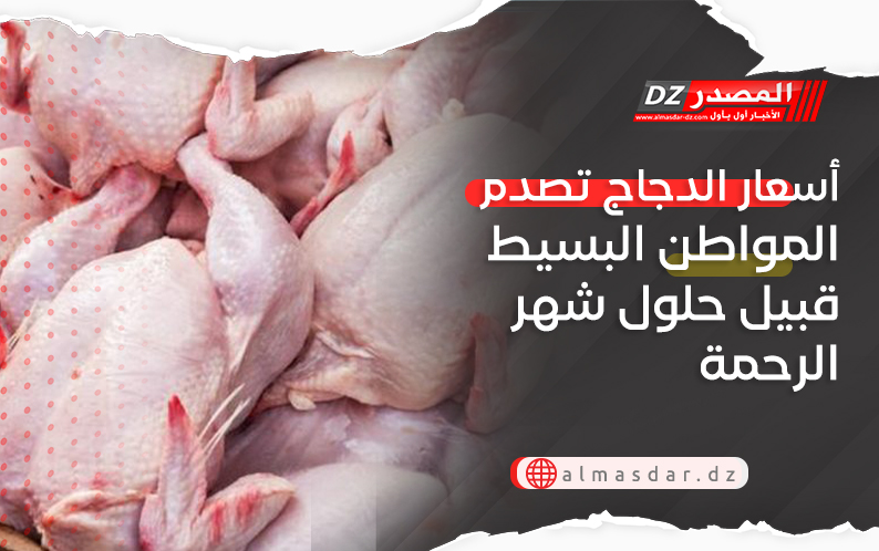 أسعار الدجاج تصدم المواطن البسيط قبيل حلول شهر الرحمة