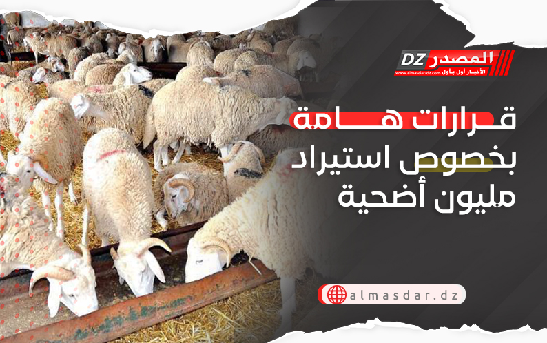 قرارات هامة بخصوص استيراد مليون أضحية